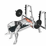 Bench Press (Barbell)