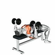 Bench Press (Dumbbell)