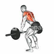 Bent Over Row (Barbell)