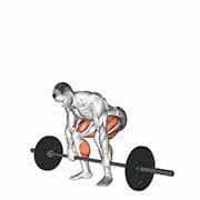 Deadlift (Barbell)