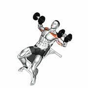 Incline Bench Press (Dumbbell)