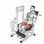 Leg Extension (Machine)