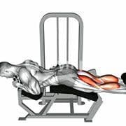 Lying Leg Curl (Machine)
