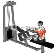 Seated Cable Row - V Grip (Cable)