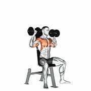 Shoulder Press (Dumbbell)