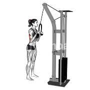 Triceps Rope Pushdown