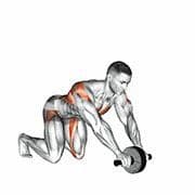 Ab Wheel