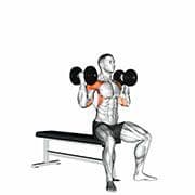 Arnold Press (Dumbbell)