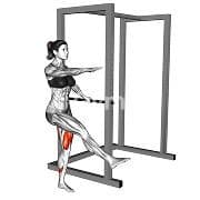 Assisted Pistol Squats