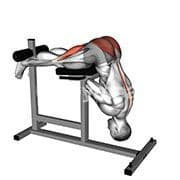 Back Extension (Hyperextension)