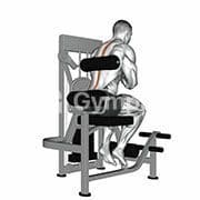 Back Extension (Machine)