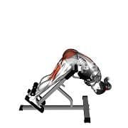 Back Extension (Weighted Hyperextension)