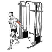 Behind the Back Curl (Cable)