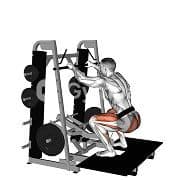 Belt Squat (Machine)