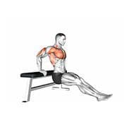 Bench Dip