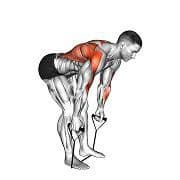Bent Over Row (Band)