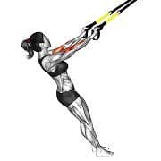 Bicep Curl (Suspension)