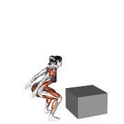 Box Jump