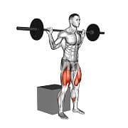 Box Squat (Barbell)