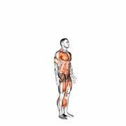Burpee