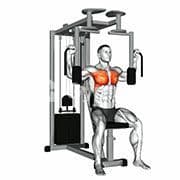 Butterfly (Pec Deck)