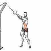 Cable Twist (Up to down)
