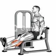 Calf Extension (Machine)