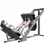 Calf Press (Machine)