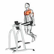 Chest Dip
