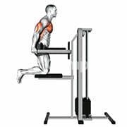 Chest Dip (Assisted)