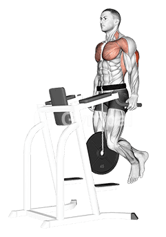 Chest Dip (Weighted)