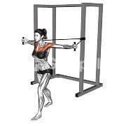 Chest Fly (Band)