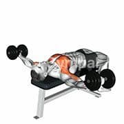 Chest Fly (Dumbbell)