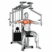 Chest Fly (Machine)