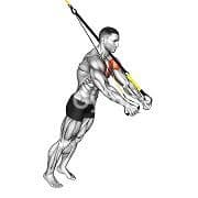Chest Fly (Suspension)