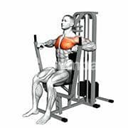 Chest Press (Machine)