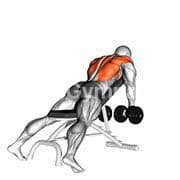 Chest Supported Incline Row (Dumbbell)