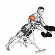 Chest Supported Reverse Fly (Dumbbell)