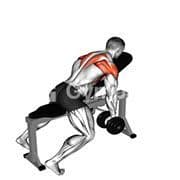 Chest Supported Y Raise (Dumbbell)