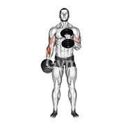 Cross Body Hammer Curl