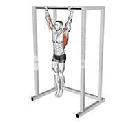 Dead Hang