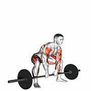Deadlift High Pull
