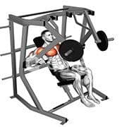 Decline Bench Press (Machine)