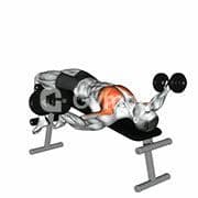 Decline Chest Fly (Dumbbell)