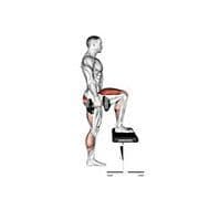 Dumbbell Step Up