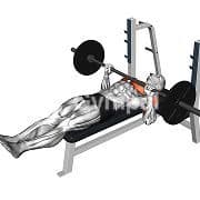 Feet Up Bench Press (Barbell)