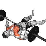 Floor Press (Barbell)