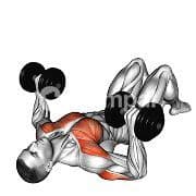 Floor Press (Dumbbell)