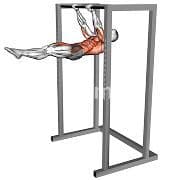 Front Lever Raise