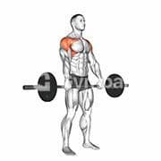 Front Raise (Barbell)